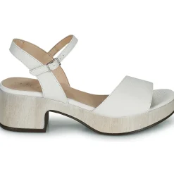 Wonders - D-8802-WILD