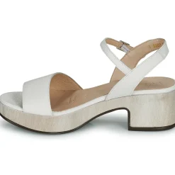 Wonders - D-8802-WILD