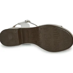 Wonders - D-8802-WILD