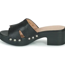 Wonders - D-8821-WILD