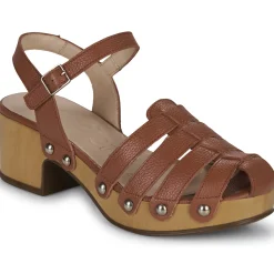 Wonders - D-9501-WILD