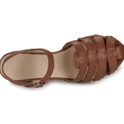 Wonders - D-9501-WILD