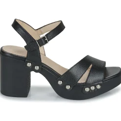 Wonders - L-1016-WILD