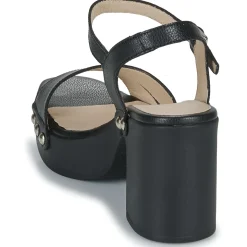 Wonders - L-1016-WILD